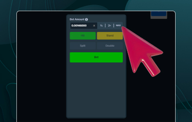 Stake Nigeria Blackjack: Essential Tips and Tricks for Playing Online Card Game 4
